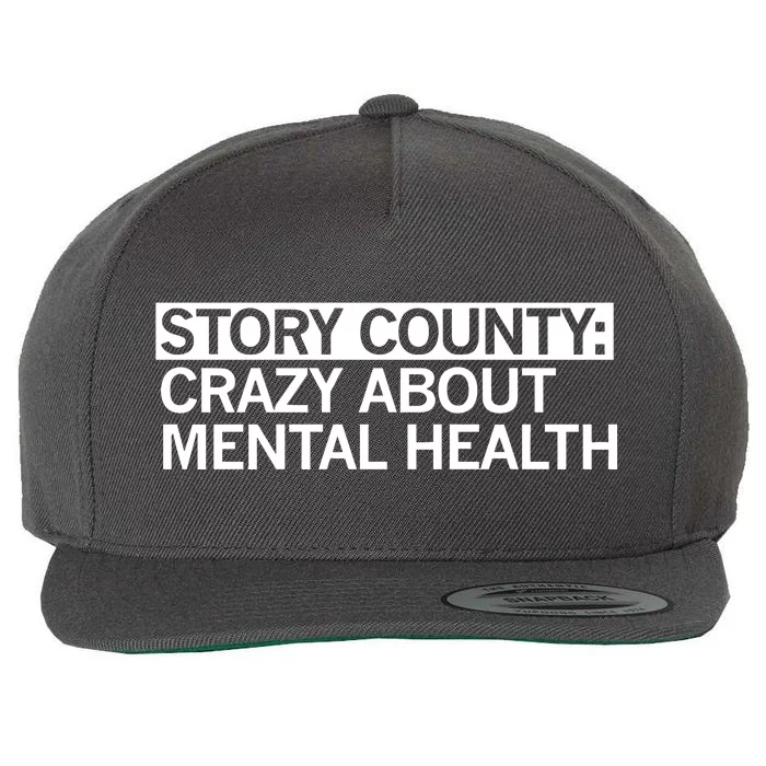 Story County Crazy About Mental Health Wool Snapback Cap