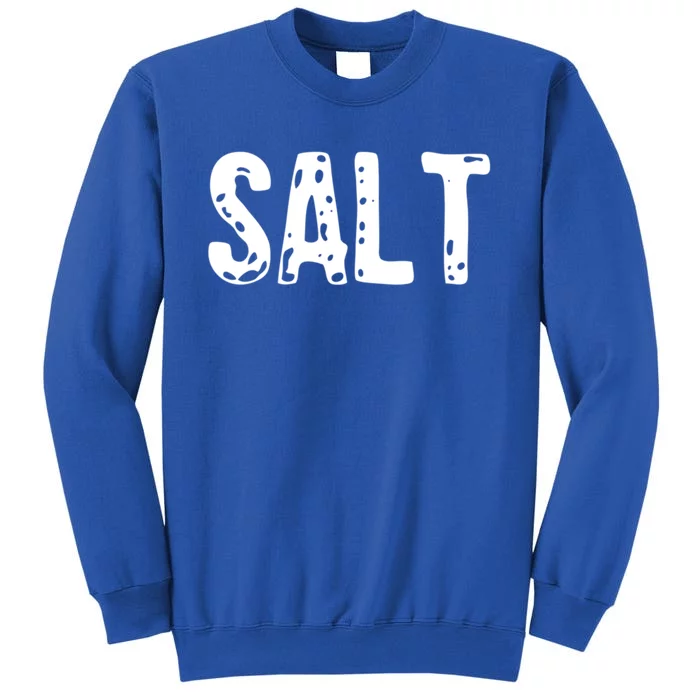 Salt Costume Couple Salt And Pepper Costume Gift Sweatshirt