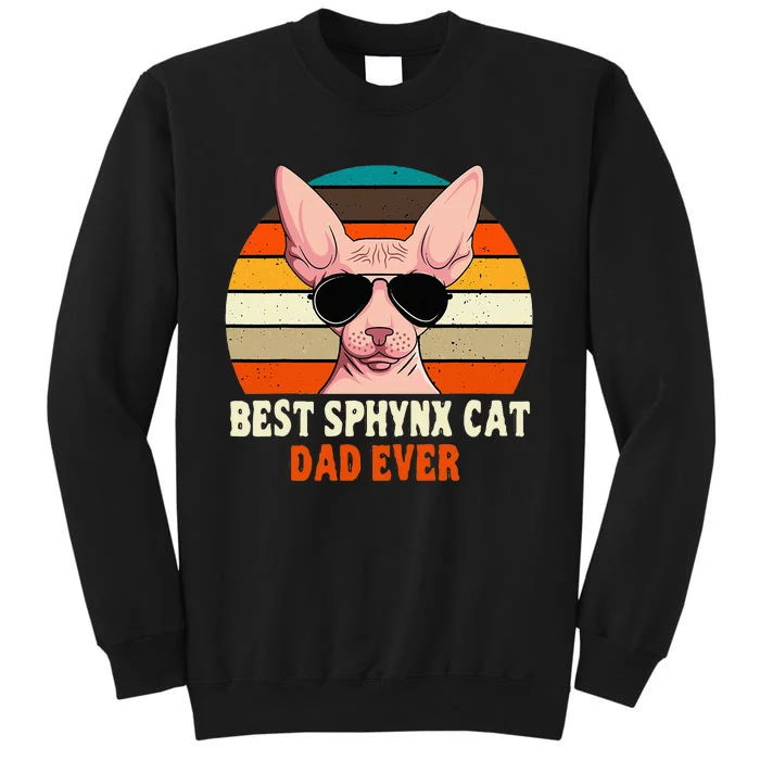 Sphynx Cat Dad Owner Breeder Hairless Pet Lover Father's Day Tall Sweatshirt