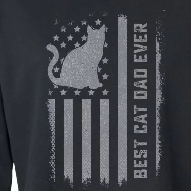 S Cat Dad Us Flag Kitty Daddy Dad Christmas Cropped Pullover Crew