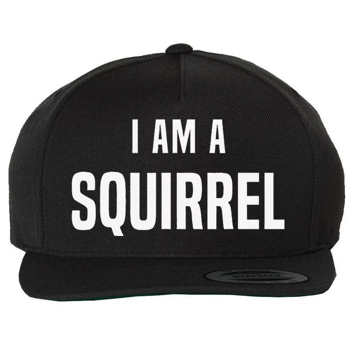 Squirrel Costume Easy Simple Halloween Costumes Wool Snapback Cap