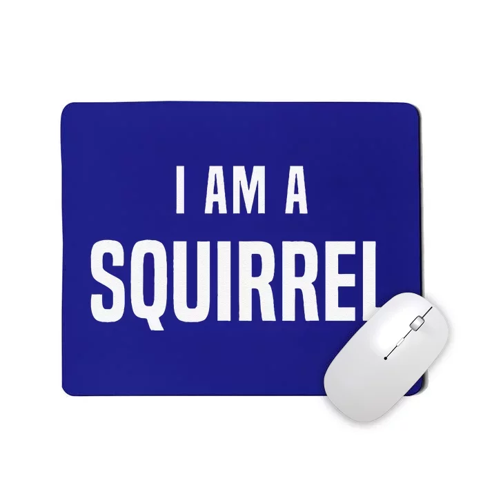 Squirrel Costume Easy Simple Halloween Costumes Mousepad