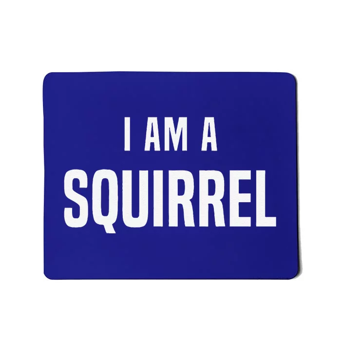 Squirrel Costume Easy Simple Halloween Costumes Mousepad