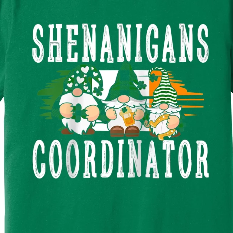 Shenanigans Coordinator Funny St Patricks Day Teacher Raglan Baseball Tee Premium T-Shirt