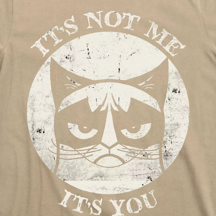 Siamese Cat Grumpy Funny Expression Its Not Me Its You T-Shirt