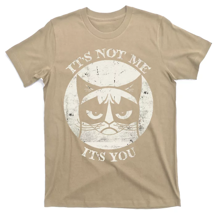 Siamese Cat Grumpy Funny Expression Its Not Me Its You T-Shirt