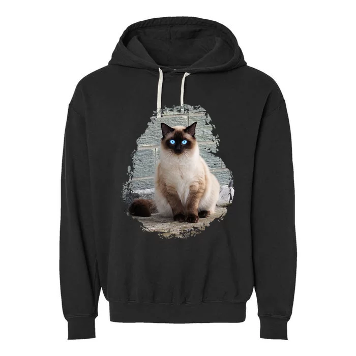 Siamese Cat Gift Garment-Dyed Fleece Hoodie