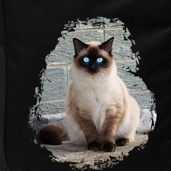 Siamese Cat Gift Impact Tech Backpack