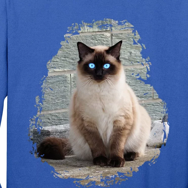 Siamese Cat Gift Long Sleeve Shirt