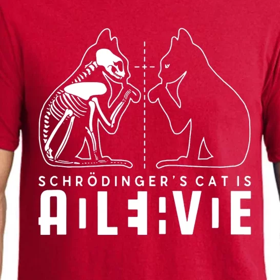 SchrodingerS Cat Is Both Dead And Alive Physics Physicist Pajama Set