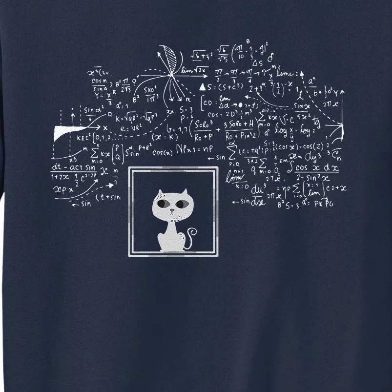 Schrodingers Cat In A Box Funny Science Nerd Physics Sweatshirt