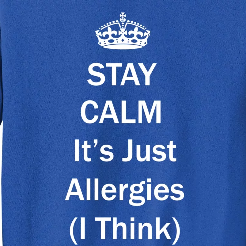 Stay Calm It's Just Allergies ( I Think ) By Yoray Gift Sweatshirt