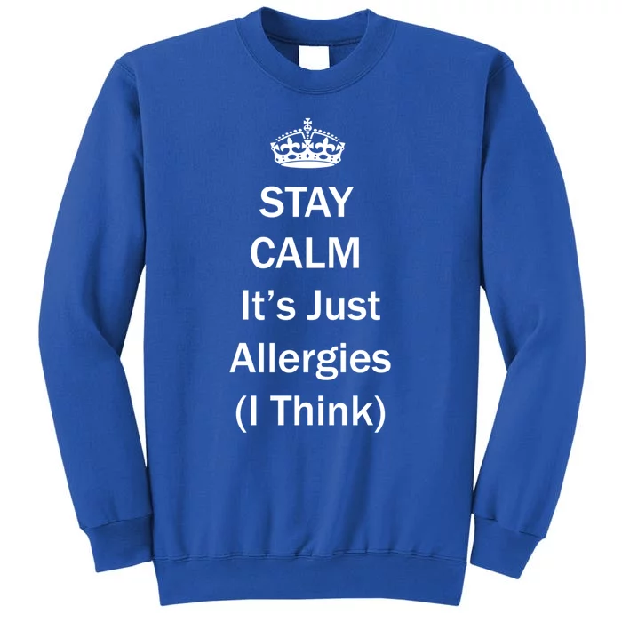 Stay Calm It's Just Allergies ( I Think ) By Yoray Gift Sweatshirt