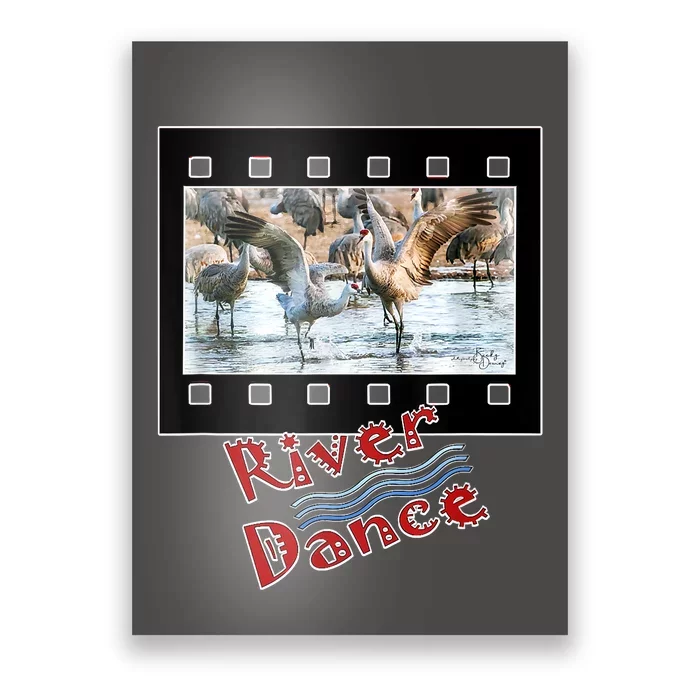 Sandhill Crane Migration Photograph River Dance Poster