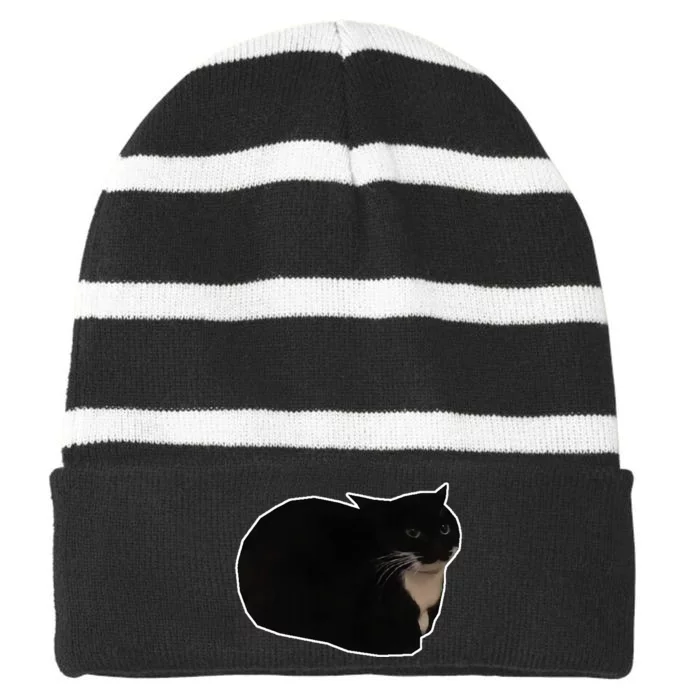 Spinning Cat Meme Maxwell The Cat Meme Striped Beanie with Solid Band