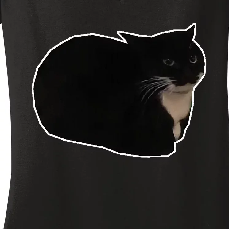 Spinning Cat Meme Maxwell The Cat Meme Women's V-Neck T-Shirt