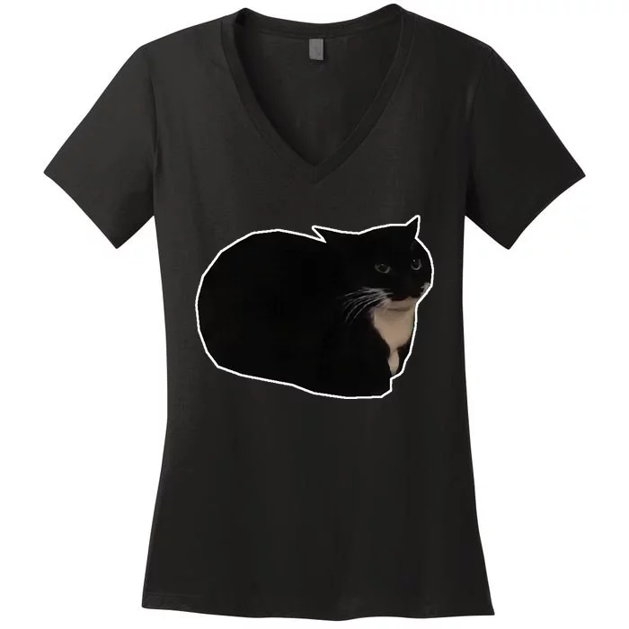 Spinning Cat Meme Maxwell The Cat Meme Women's V-Neck T-Shirt