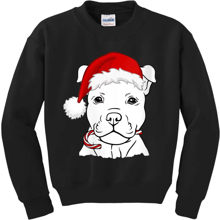 S Christmas Puppy With Santa Hat And Candy Cane Dog Lovers Vneck Kids Sweatshirt