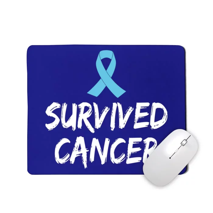 Survived Cancer Prostate Cancer Awareness Meaningful Gift Mousepad