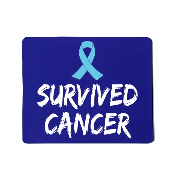 Survived Cancer Prostate Cancer Awareness Meaningful Gift Mousepad