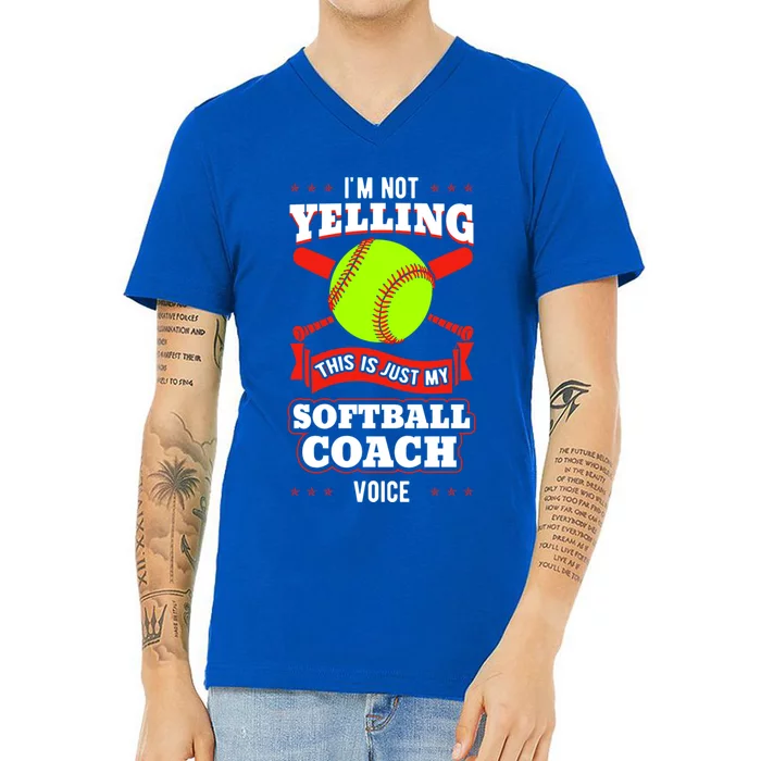 Softball Coach Pitcher Trainer Bat Ball Baseball Lover Gift V-Neck T-Shirt