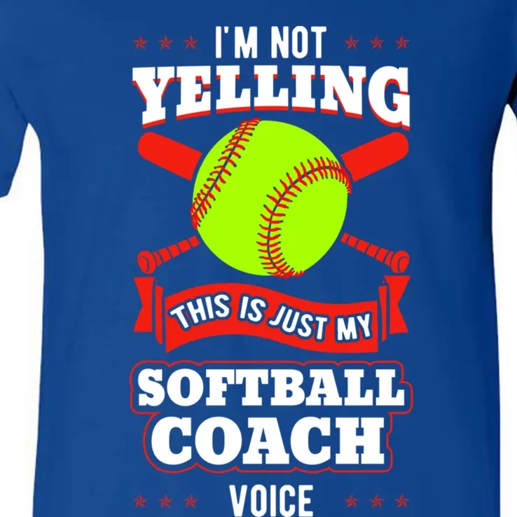 Softball Coach Pitcher Trainer Bat Ball Baseball Lover Gift V-Neck T-Shirt