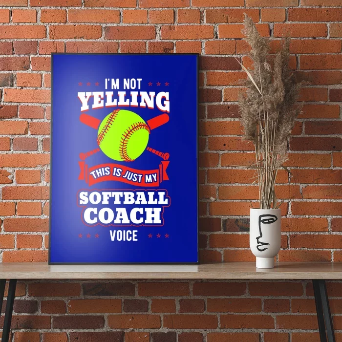 Softball Coach Pitcher Trainer Bat Ball Baseball Lover Gift Poster