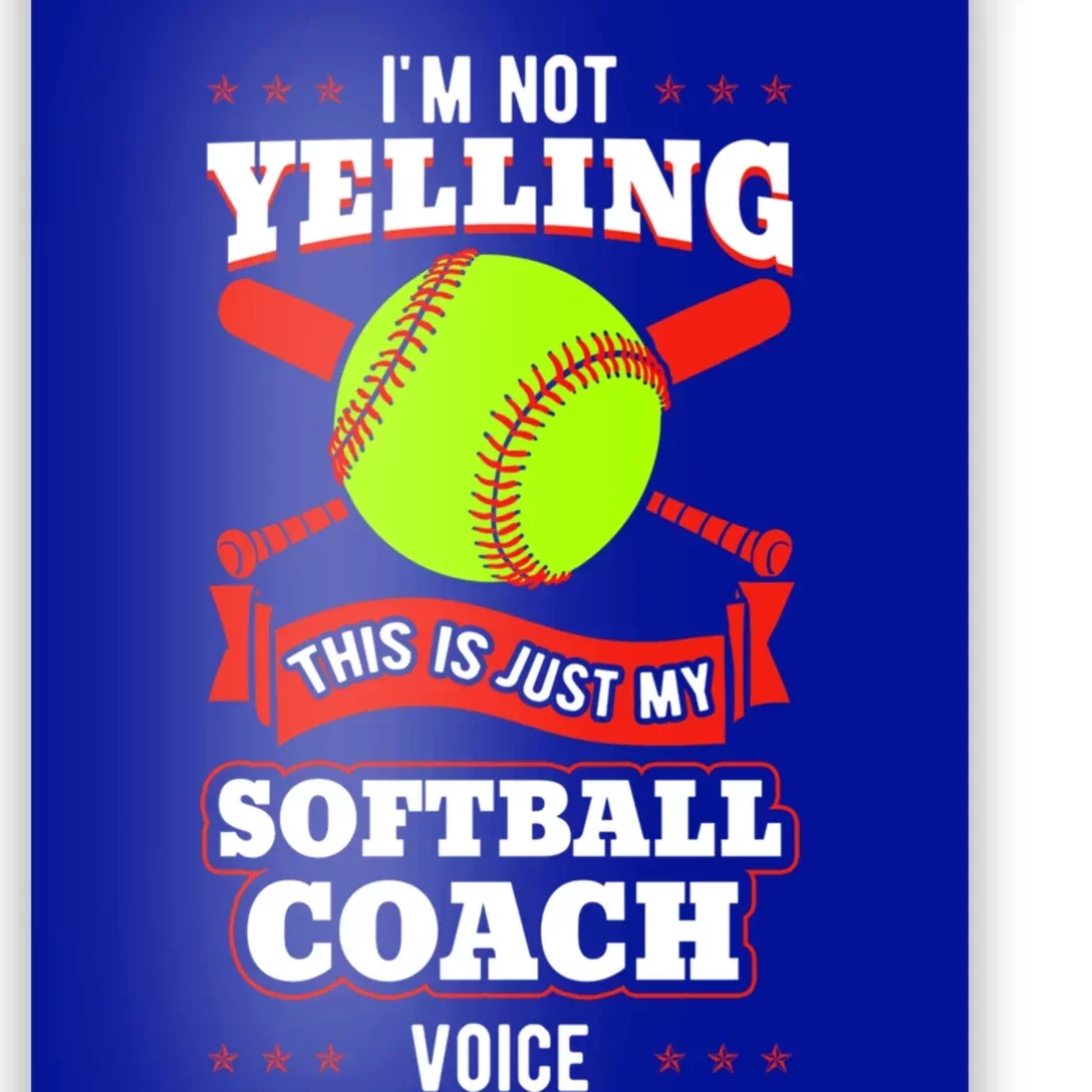 Softball Coach Pitcher Trainer Bat Ball Baseball Lover Gift Poster