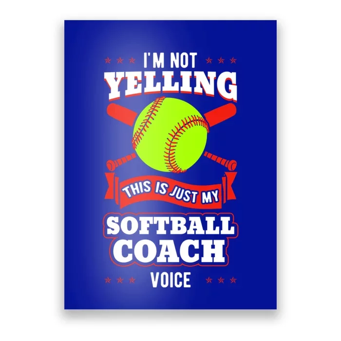 Softball Coach Pitcher Trainer Bat Ball Baseball Lover Gift Poster