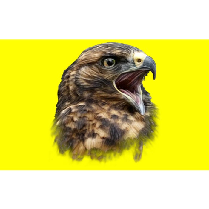 Screaming Hawk Wildlife Bumper Sticker