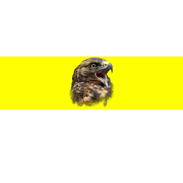 Screaming Hawk Wildlife Bumper Sticker