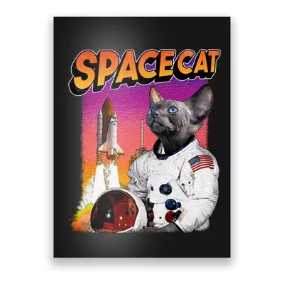 Space Cat Posters