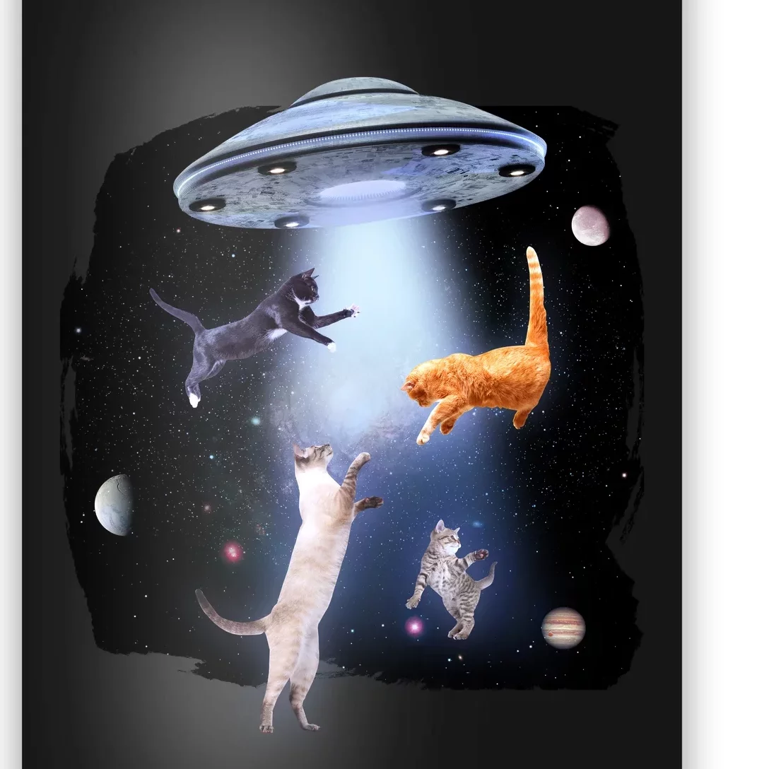 Space Cats UFO Poster