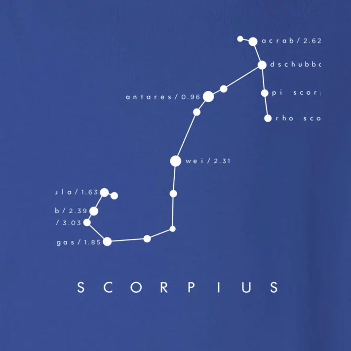 Scorpio Constellation Zodiac And Astronomy Design Gift Toddler Long Sleeve Shirt