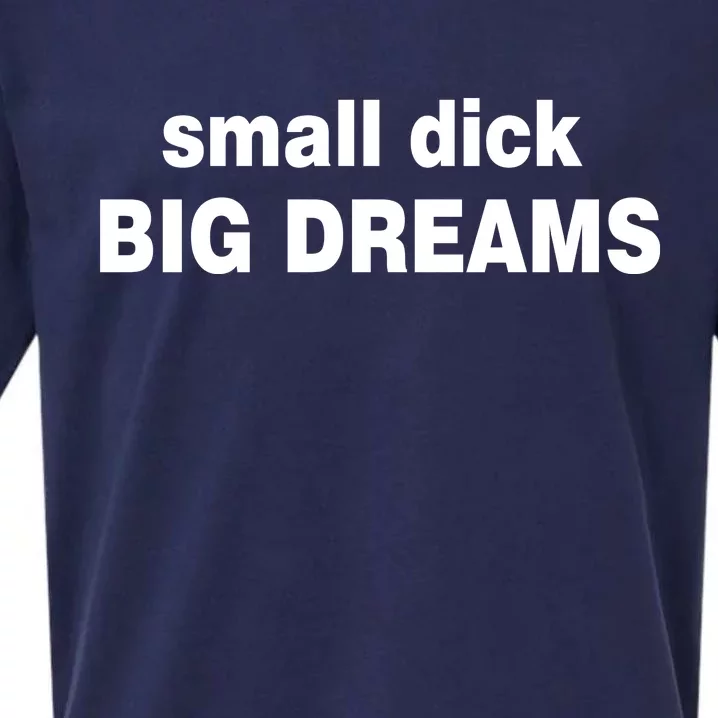 Small Dick Big Dreams Sueded Cloud Jersey T-Shirt