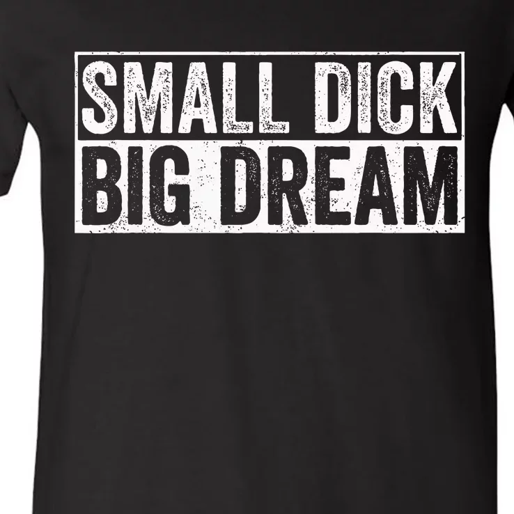 Small Dick Big Dreams Funny V-Neck T-Shirt