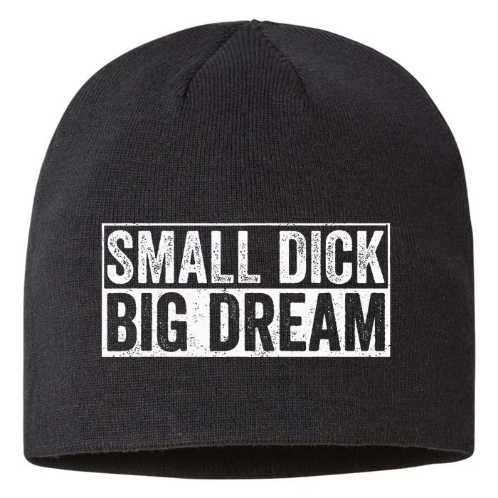 Small Dick Big Dreams Funny 8 1/2in Sustainable Knit Beanie