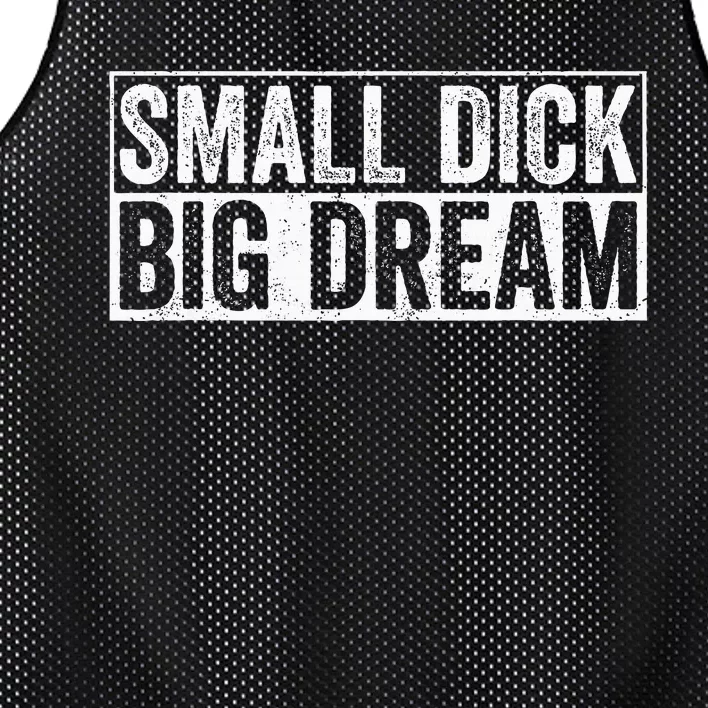 Small Dick Big Dreams Funny Mesh Reversible Basketball Jersey Tank