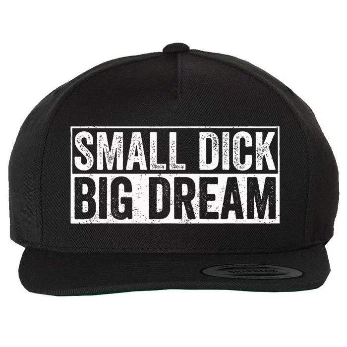 Small Dick Big Dreams Wool Snapback Cap