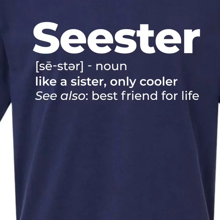 Seester Definition Best Friend For Life Sueded Cloud Jersey T-Shirt