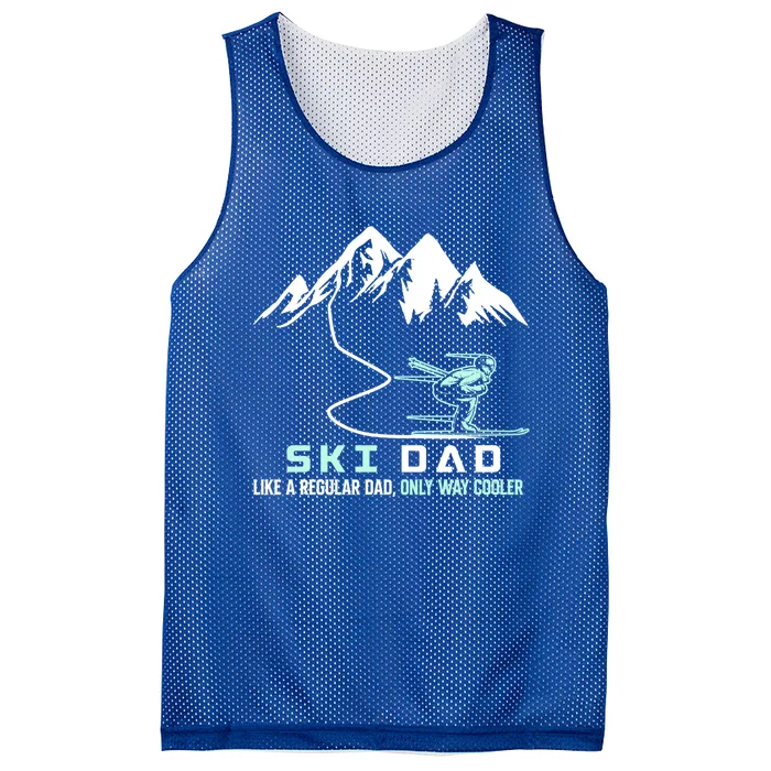 Ski Dad Funny Cute Winter Skiing Gift Mesh Reversible Basketball Jersey Tank