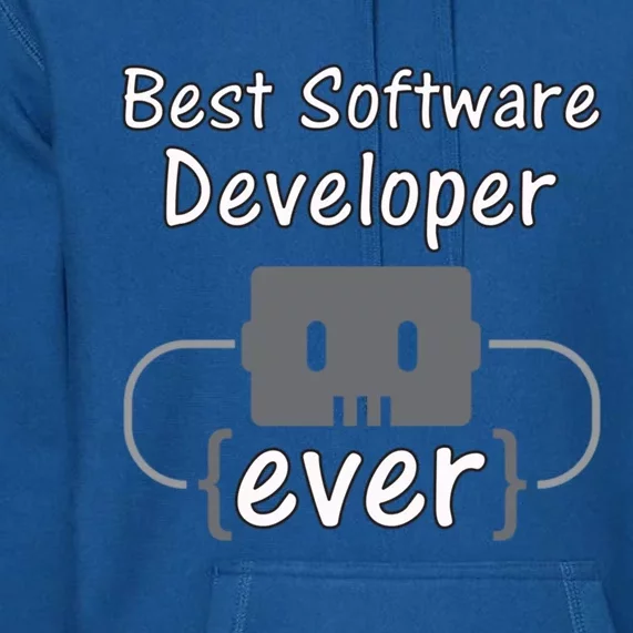 Software Developer For Coder And Software Engineer Gift Premium Hoodie