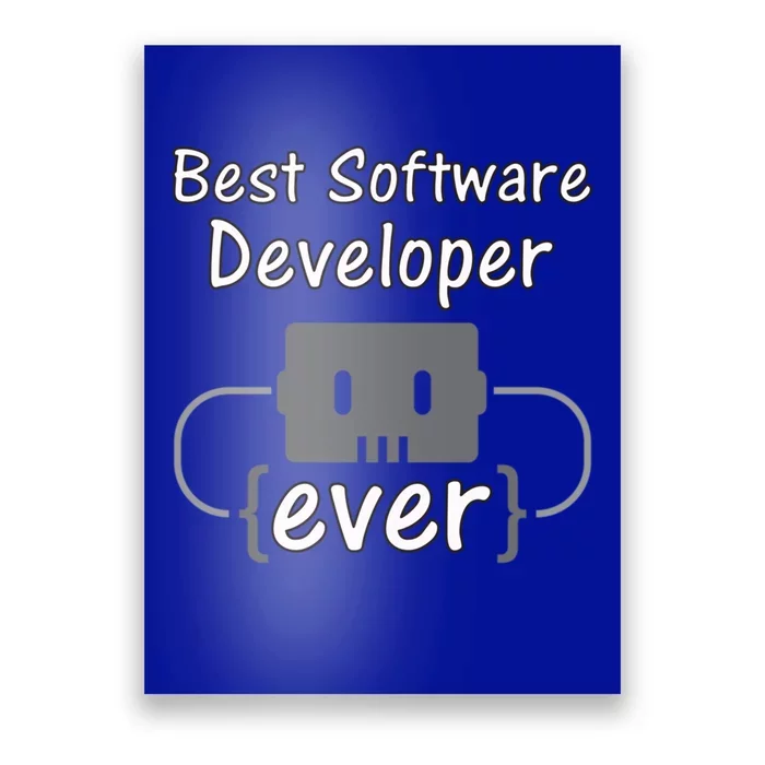 Software Developer For Coder And Software Engineer Gift Poster