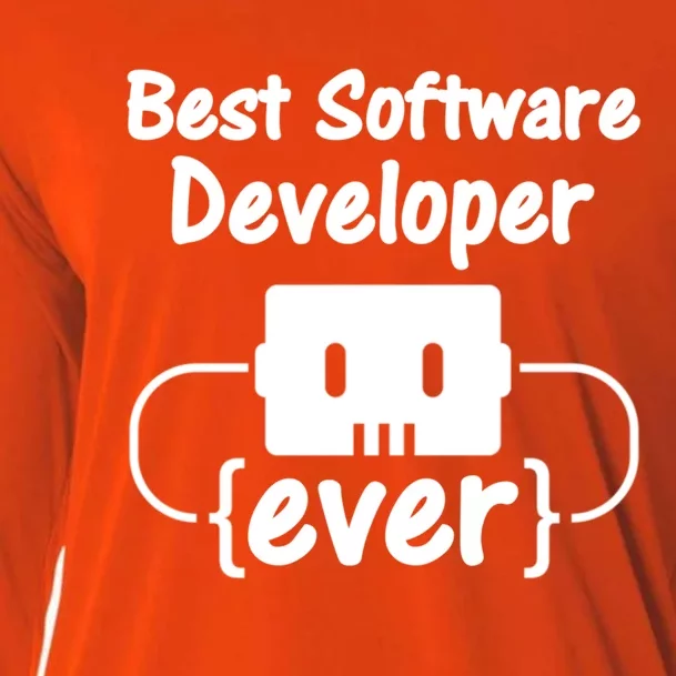 Software Developer For Coder And Software Engineer Gift Cooling Performance Long Sleeve Crew