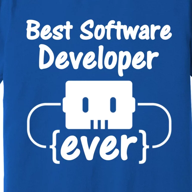 Software Developer For Coder And Software Engineer Gift Premium T-Shirt