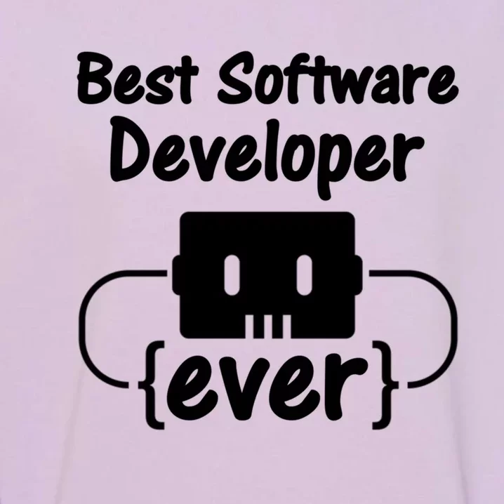 Software Developer For Coder And Software Engineer Gift Garment-Dyed Sweatshirt