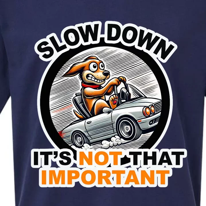 Slow Down ItS Not That Important Sueded Cloud Jersey T-Shirt