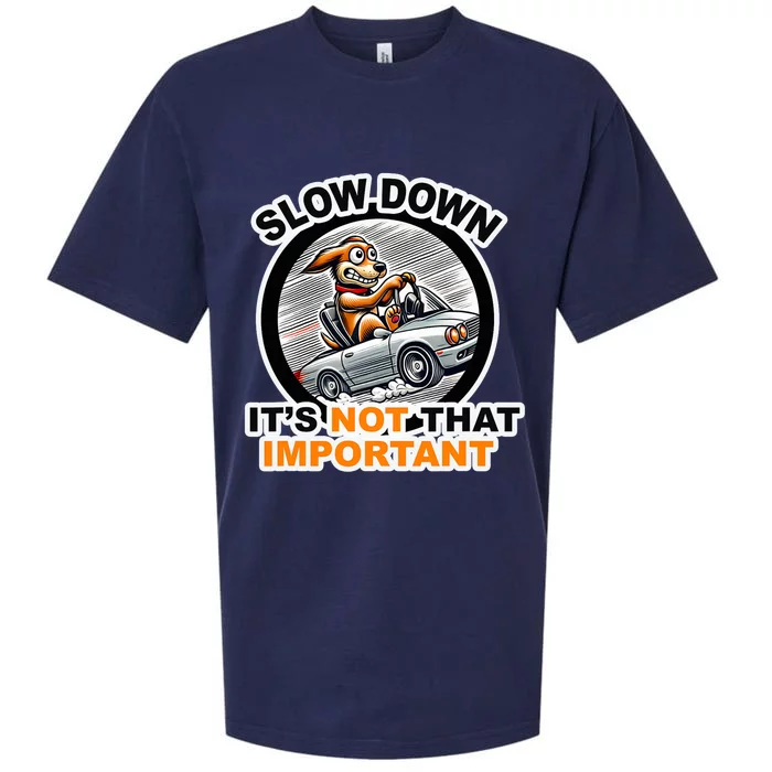 Slow Down ItS Not That Important Sueded Cloud Jersey T-Shirt