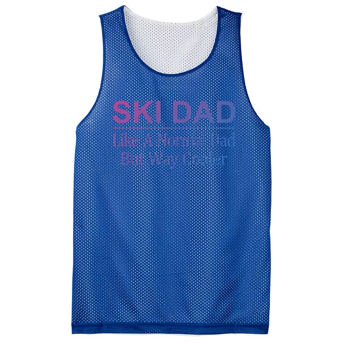 Ski Dad Like A Normal Dad But Way Cooler Gift Mesh Reversible Basketball Jersey Tank