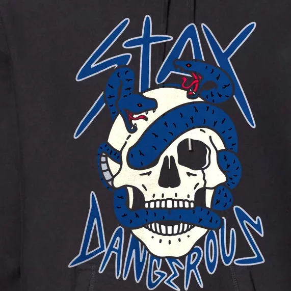 Stay Dangerous Skull Snake Sneaker Scary Swag Team Matching Perfect Gift Idea Premium Hoodie